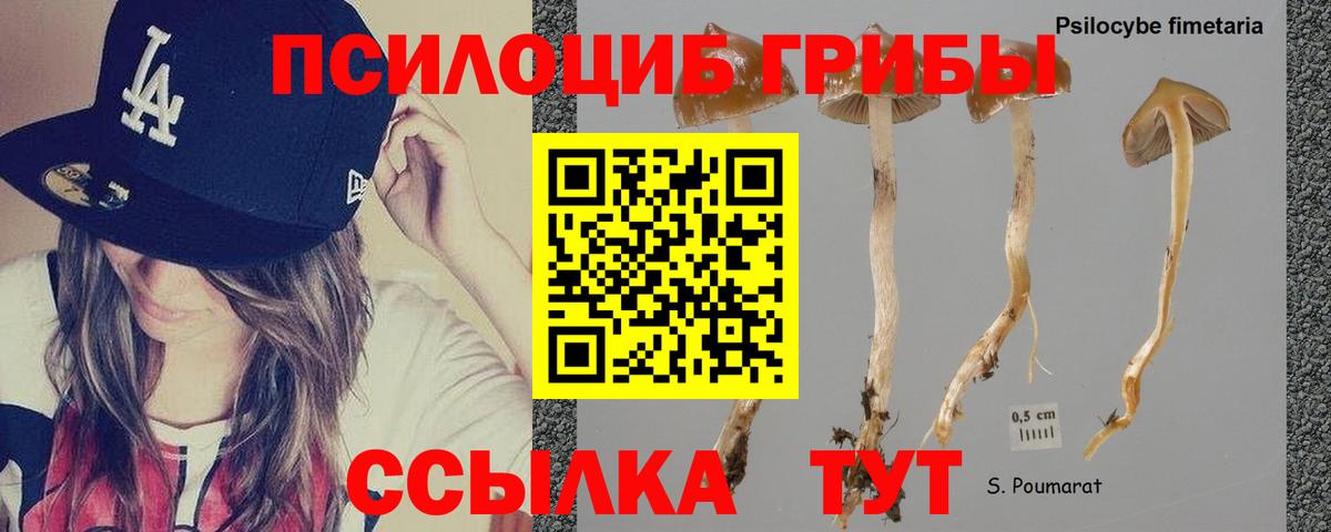 Галлюциногенные грибы ЛСД  Псилоцибиновые грибы Psilocybe  Советский  Вход с VPN 